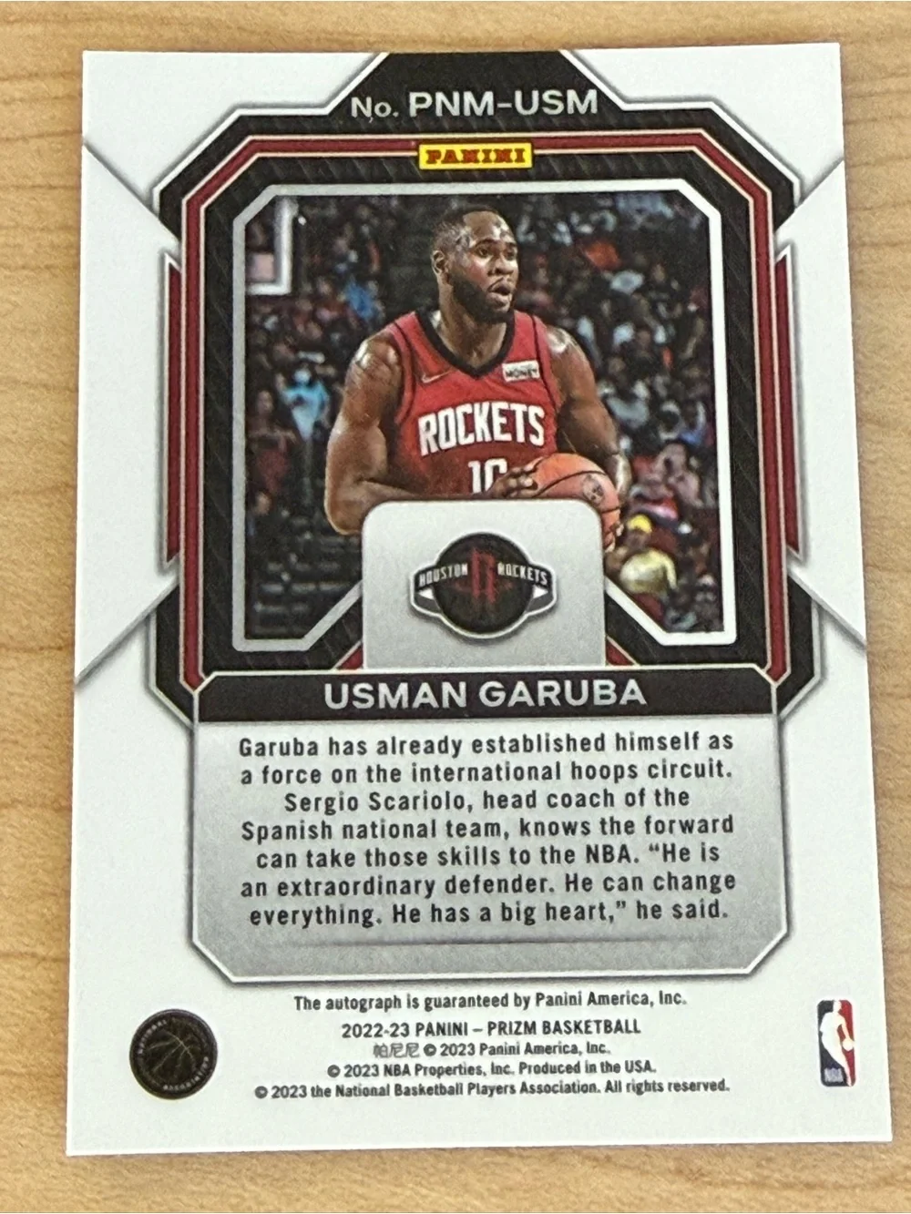 Panini Basketball Card - Red, White, Black Accents